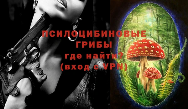 сатива Инсар