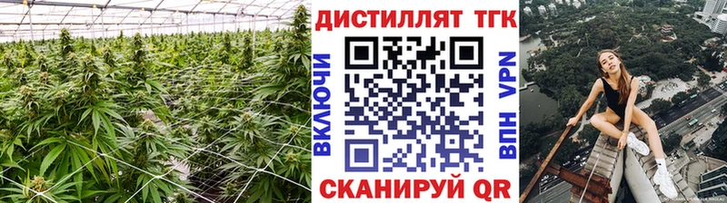 ТГК THC oil  закладки  Анива 
