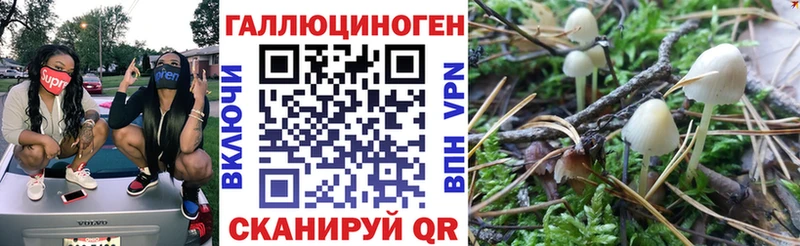 Галлюциногенные грибы GOLDEN TEACHER  Анива 