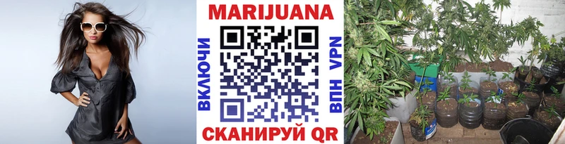 OMG маркетплейс  Анива  Шишки марихуана тримм  где продают  